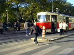 Cute Teen Brunette Handles Two Big Cocks At The Same Time