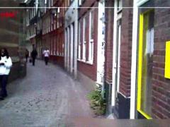 Pretty Brunette Amsterdam Hooker Fucks A Very Horny Dude