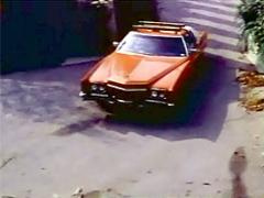 Wet Brunette Retro Lady Fucked And Facialised Hard At Home