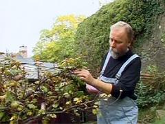 Old Gardener Sprinkles His Warm Seed Over Teenage Brunette