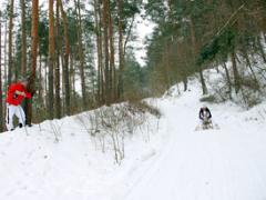 Horny Dude Banging A Pretty Teenage Sweetheart Hardcore