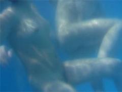 Naughty Teens Having Fun With A Dildo In The Swimmingpool