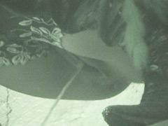 Vids From Spy Cam Planted In Loo At Crowded Beach